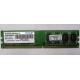 Модуль оперативной памяти 4Gb DDR2 Patriot PSD24G8002 pc-6400 (800MHz)  (Смоленск)