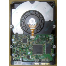 HDD Sun 500G 500Gb в Смоленске, FRU 540-7889-01 в Смоленске, BASE 390-0383-04 в Смоленске, AssyID 0069FMT-1010 в Смоленске, HUA7250SBSUN500G (Смоленск)