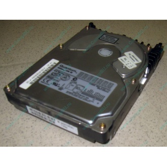 Жесткий диск 18.4Gb Quantum Atlas 10K III U160 SCSI (Смоленск)