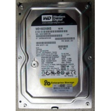 Жесткий диск 160Gb WD WD1602ABKS SATA (Смоленск)