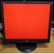 Монитор 19" ViewSonic VA903b (1280x1024) есть битые пиксели (Смоленск)