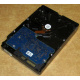 Электроника HDD 500Gb Hitachi HDS721050DLE630 (Смоленск)