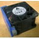 Вентилятор TFB0612GHE для корпусов Intel SR2300 / SR2400 (Смоленск)