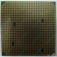Процессор AMD Athlon 64300+ (1.8GHz) ADA3000IAA4CN s.AM2 (Смоленск)