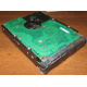 Жесткий диск 300Gb 15k Seagate Cheetach ST3300656SS 15K.6 Dell 9CH066-050 6G SAS (Смоленск)